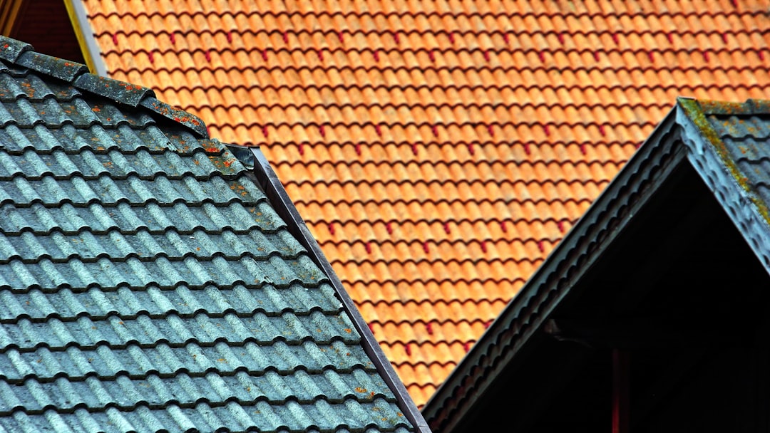 brown-and-green-house-roof-qrspzwxmu7a